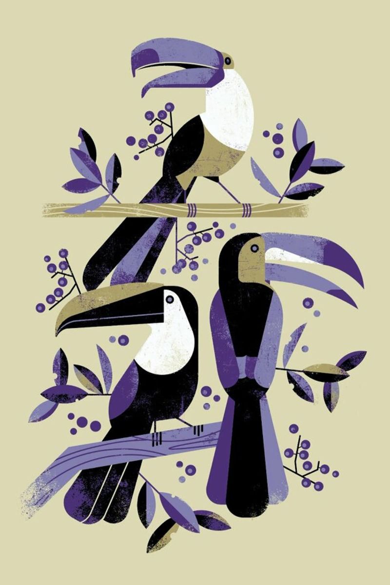 Toucan III poster da Dieter Braun