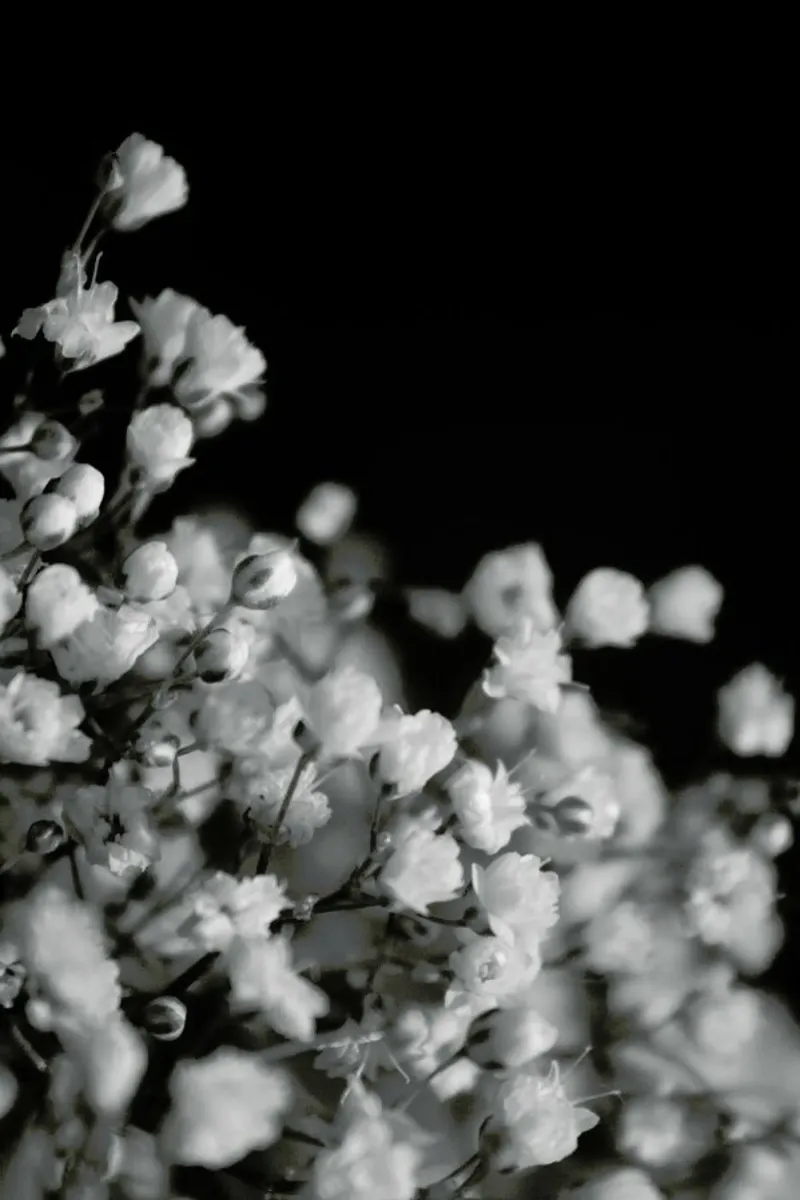 Bloom I plexiglass da Victoria Frost