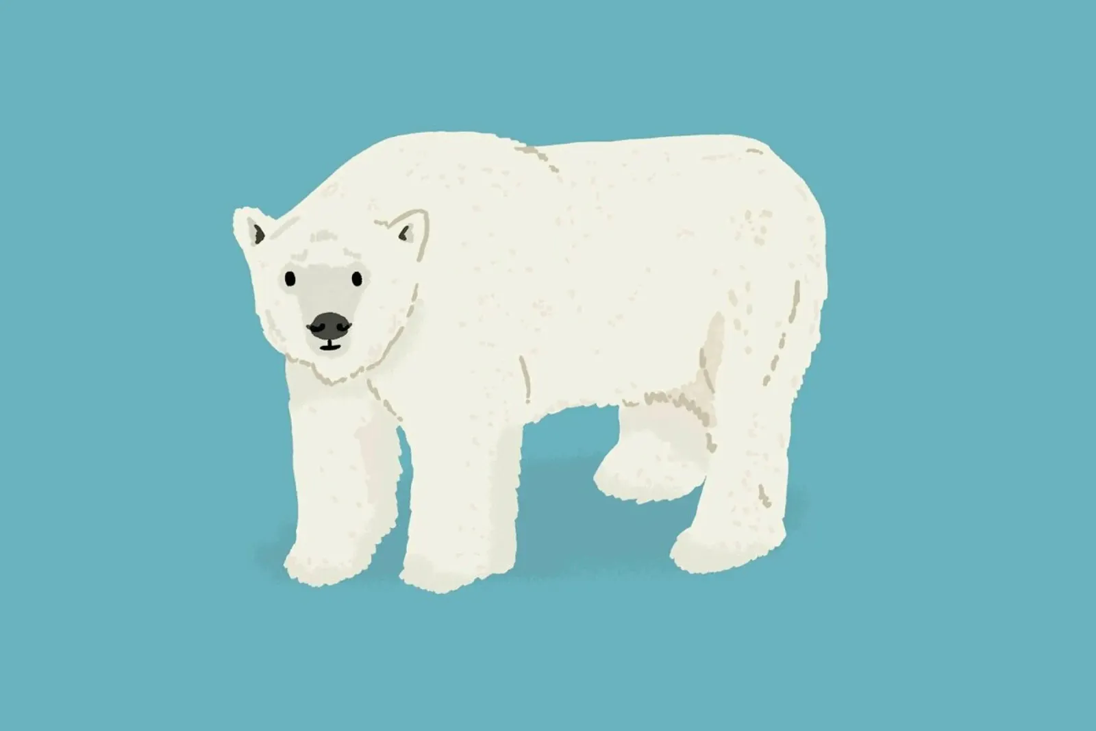 Orso polare carta hahnemühle da Alex Foster