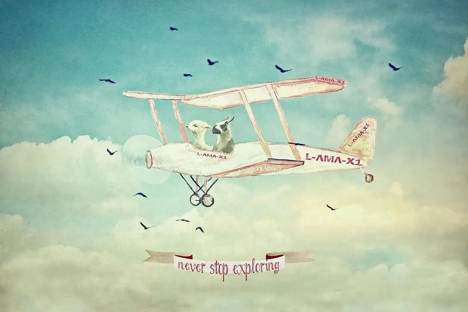 Never Stop Exploring III - FUNNY ALPACAS ON TOUR carta hahnemühle da Monika Strigel