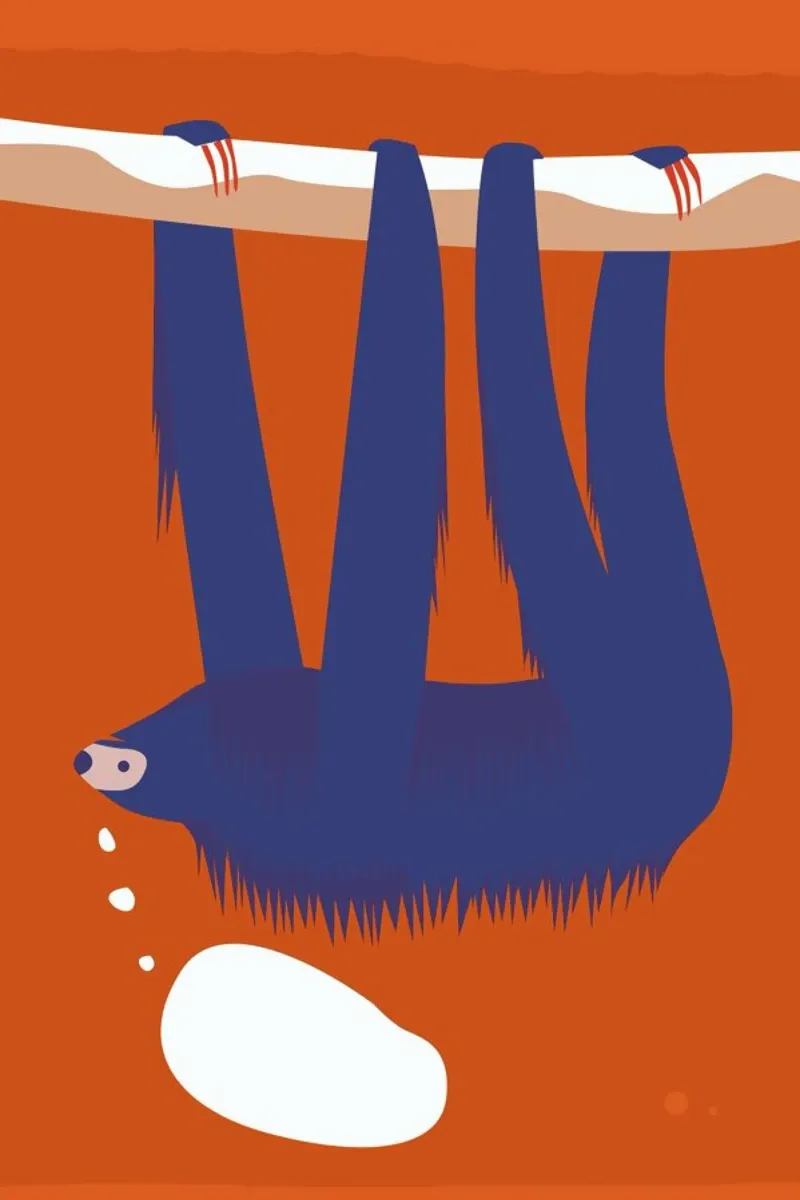 Sloth, Hang in There carta hahnemühle da Monika Aichele