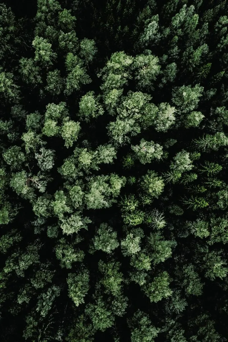 Jungle Rum poster con telaio in plastica da Airpixels
