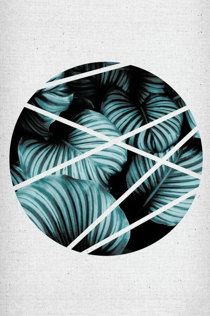 Circle 05 poster da Froilein Juno