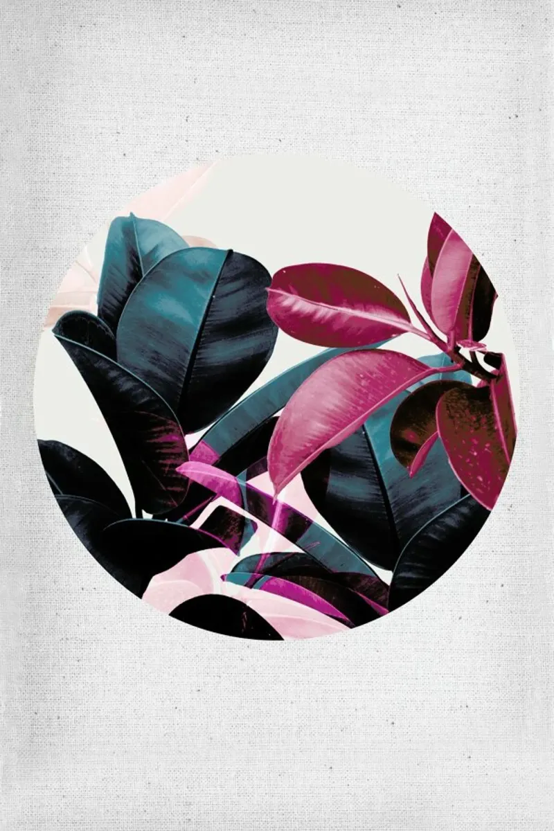 Exposure 02 poster da Froilein Juno