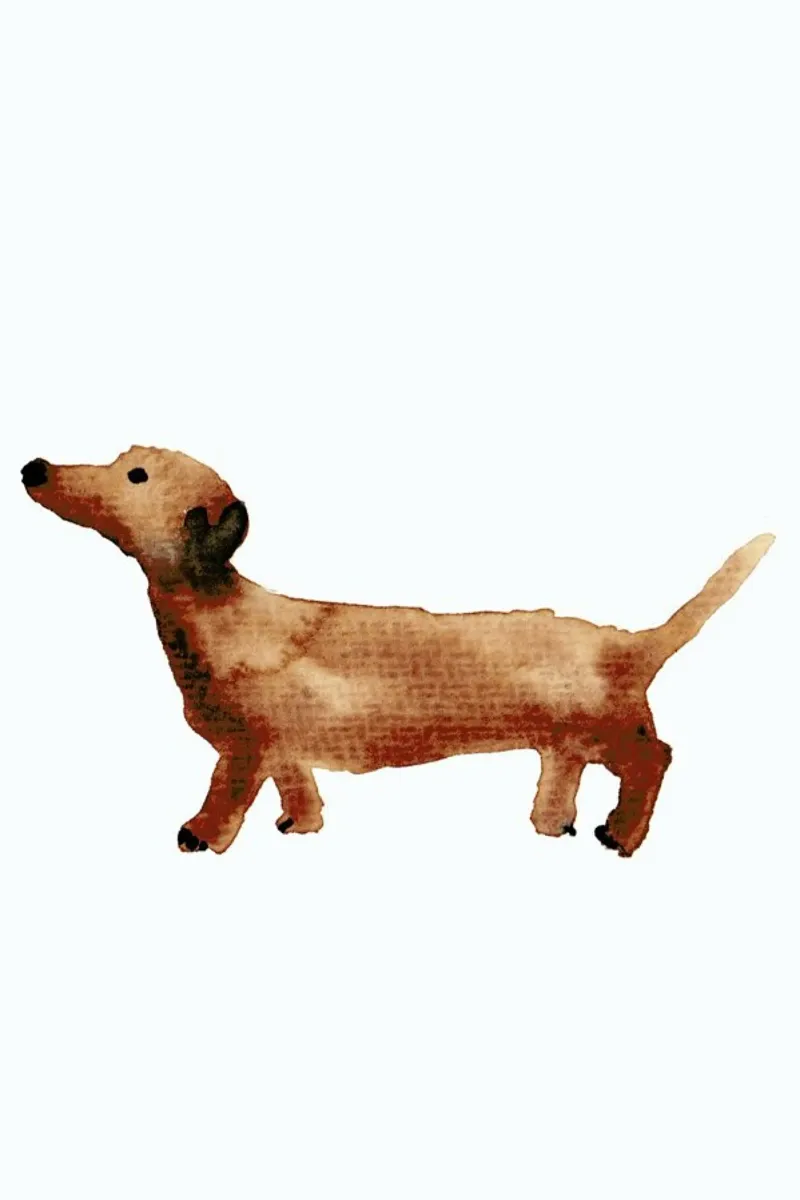 Sausage Dog poster by Farina Kuklinski