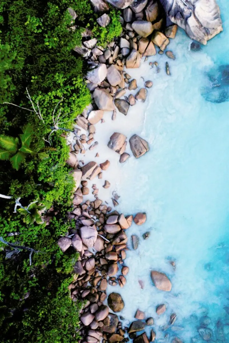Tropical 3 poster con telaio in plastica da Airpixels