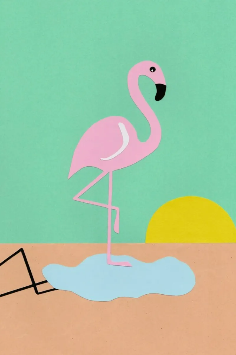 Flamingo Herbert pellicola backlit da Rosi Feist