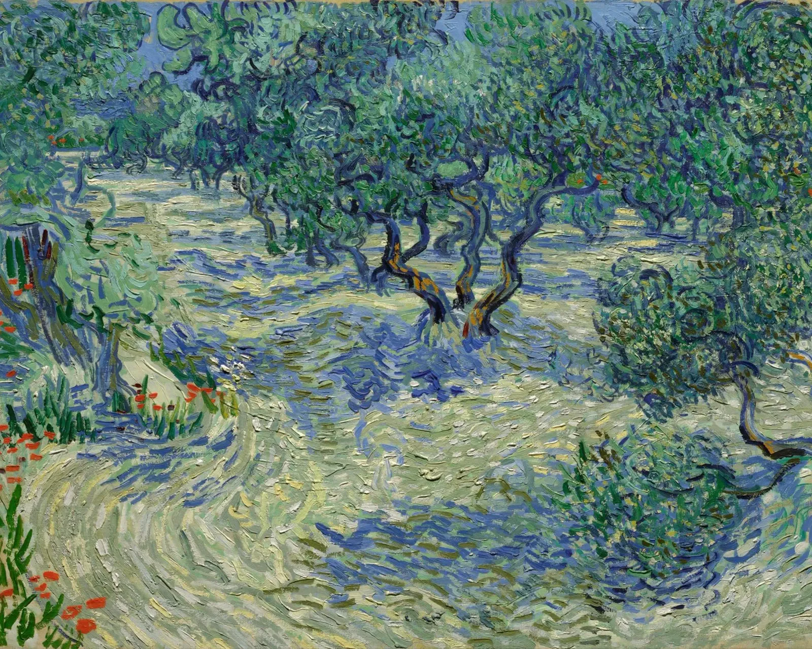 Vincent van Gogh - Olive Orchard canvas van Timeless Artworks
