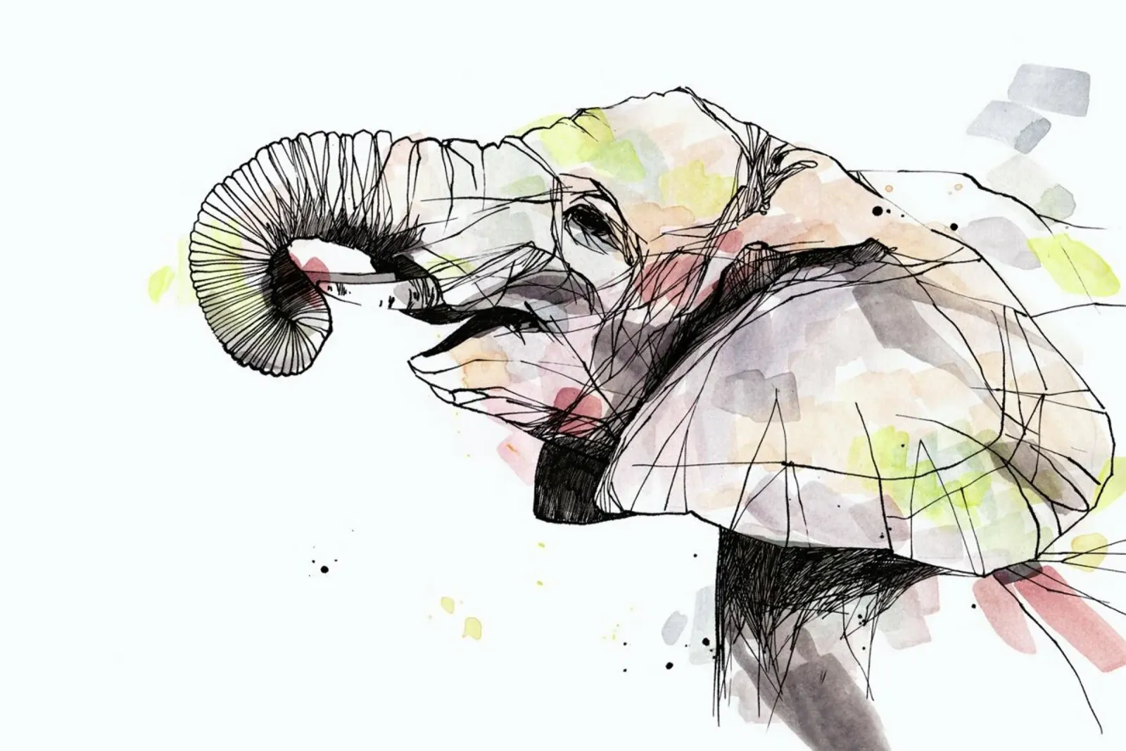Eira canvas by WALLstories