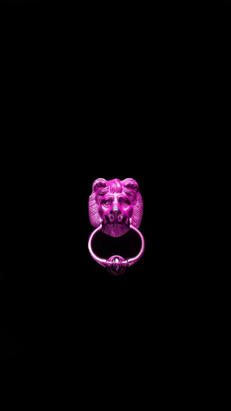 Pink Dog tela con Cornice a cassetta da Flo Klein