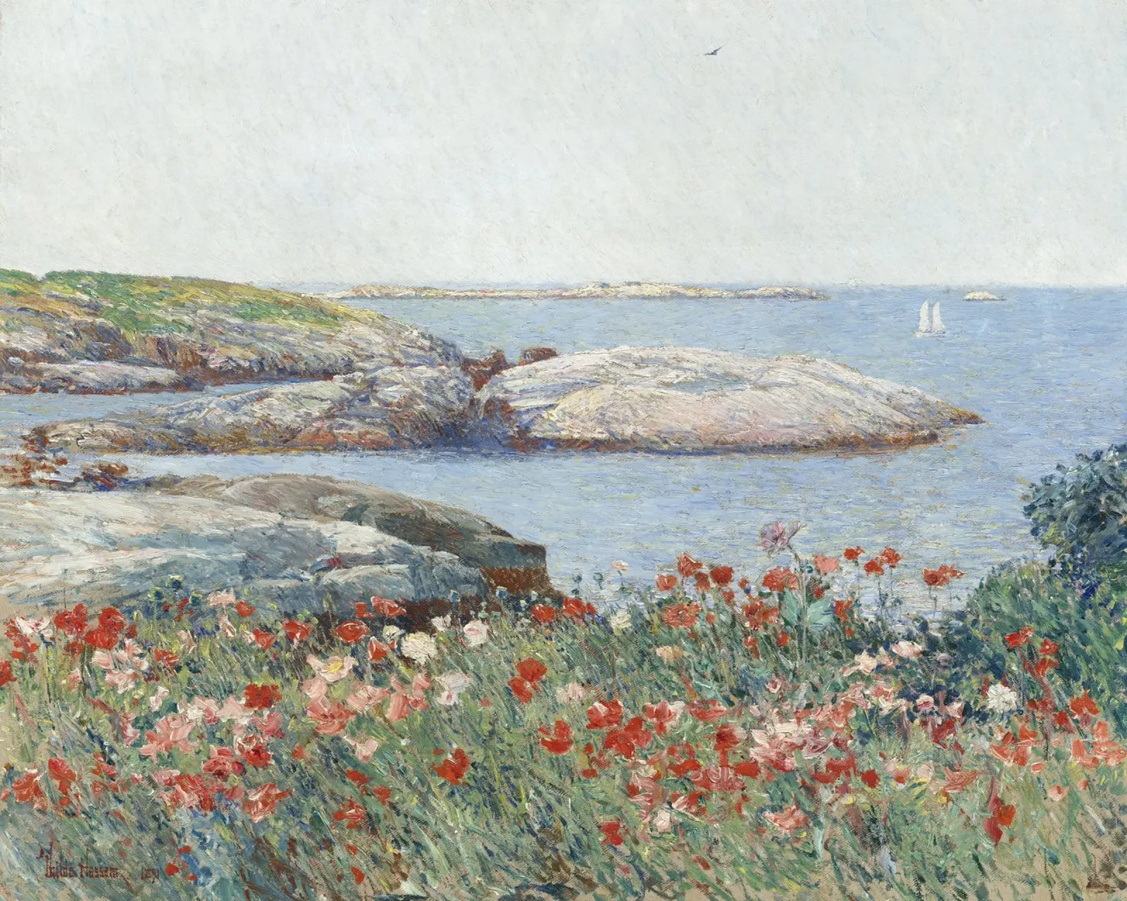 Childe Hassam - Papaveri, Isole di Shoals pellicola backlit da William Store