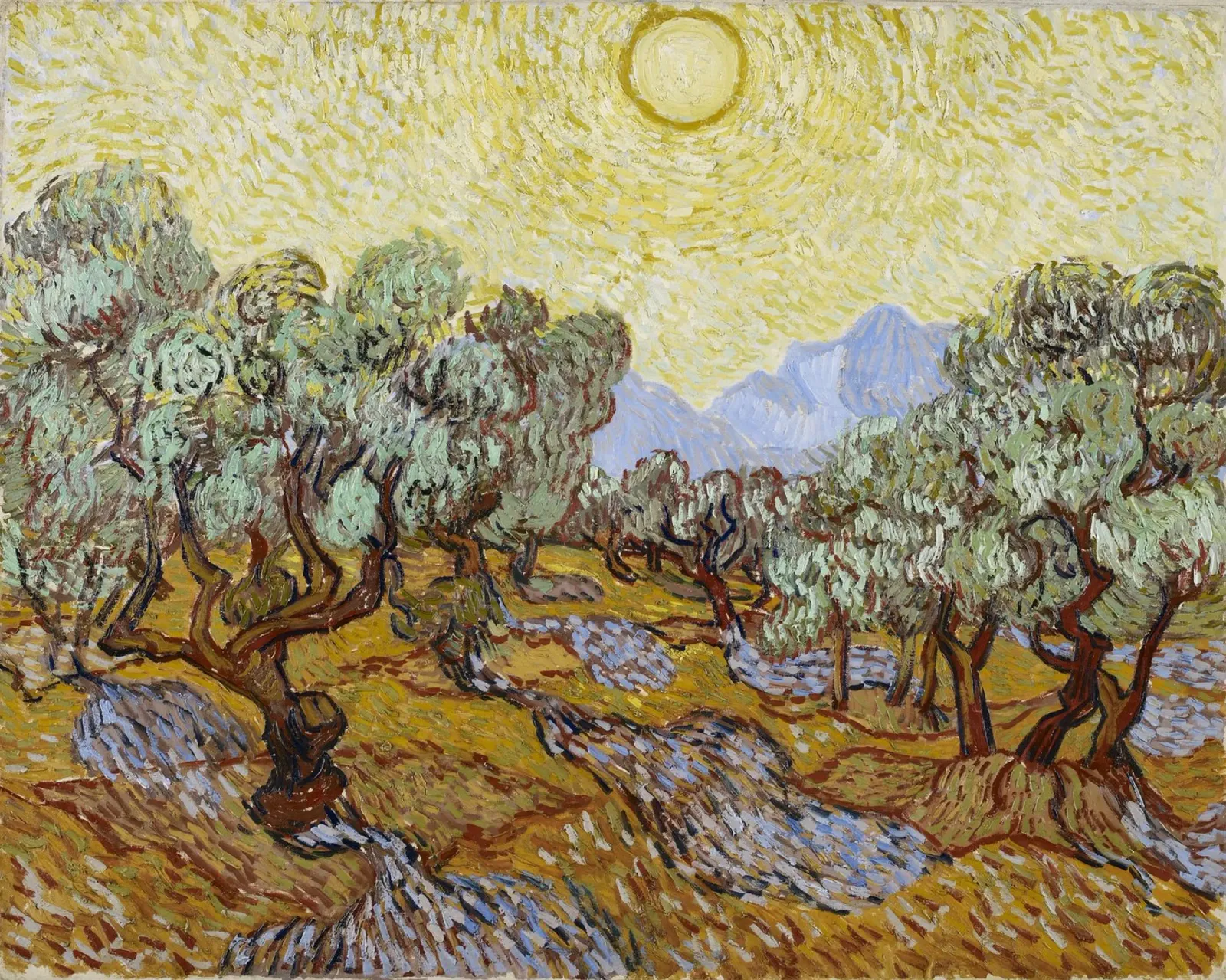 Gli ulivi: la natura vivente di Van Gogh tela con Cornice a cassetta da Little Art Histories