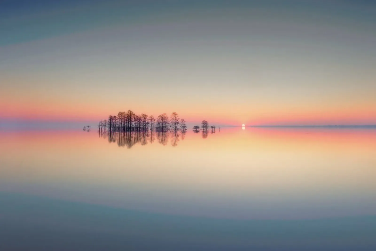 Lake Mattamuskeet Memory - Liyun Yu poster da Pictufy