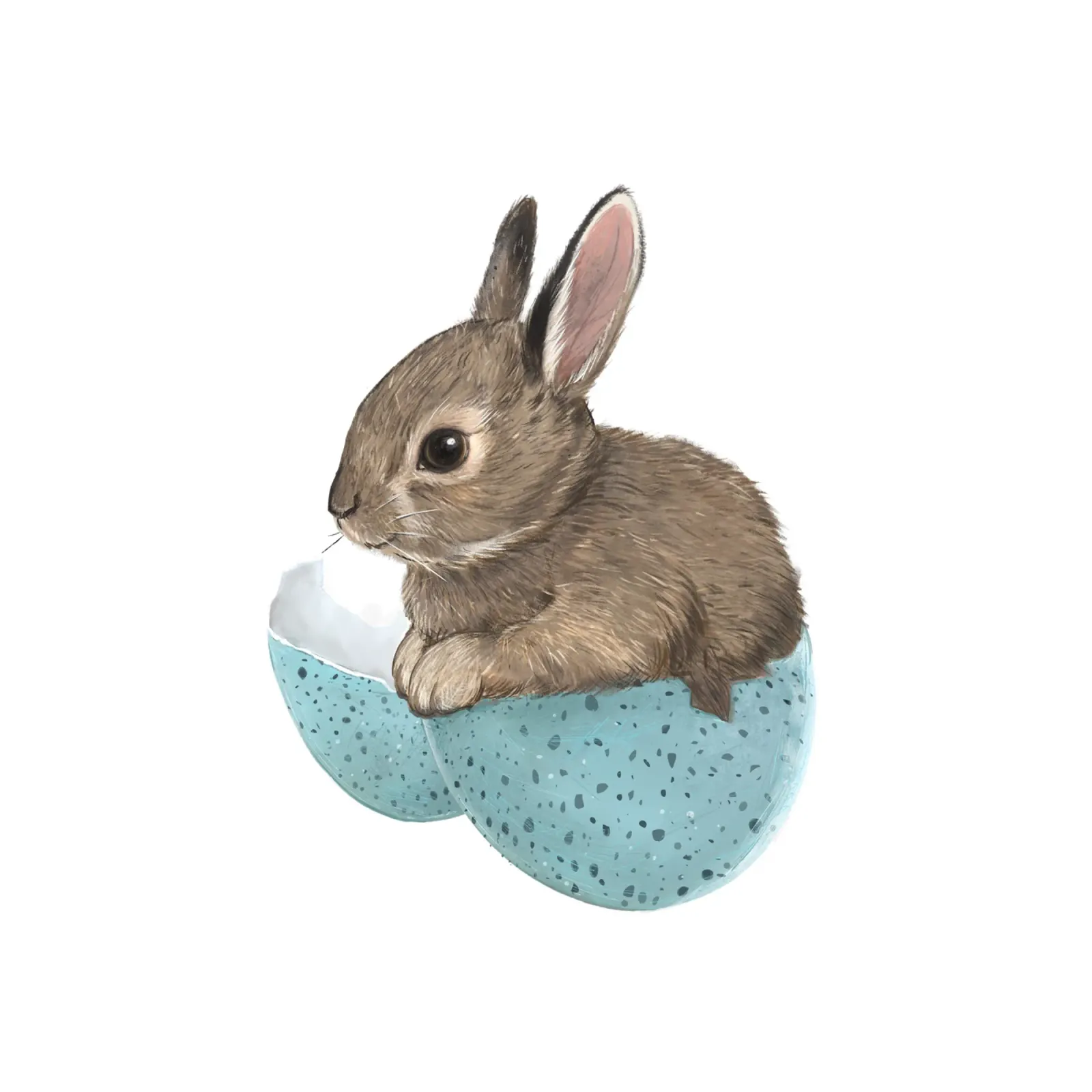 Baby Bunny in Robin's Egg pellicola backlit da Laura Graves