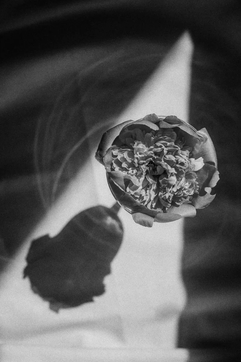 Flower In A Glass poster da selfieswithlove
