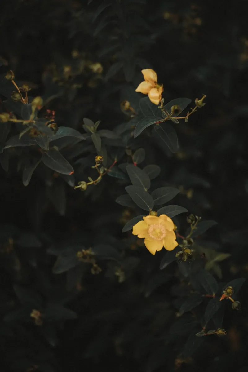 Moody Flowers Pt. II poster con telaio in alluminio da selfieswithlove