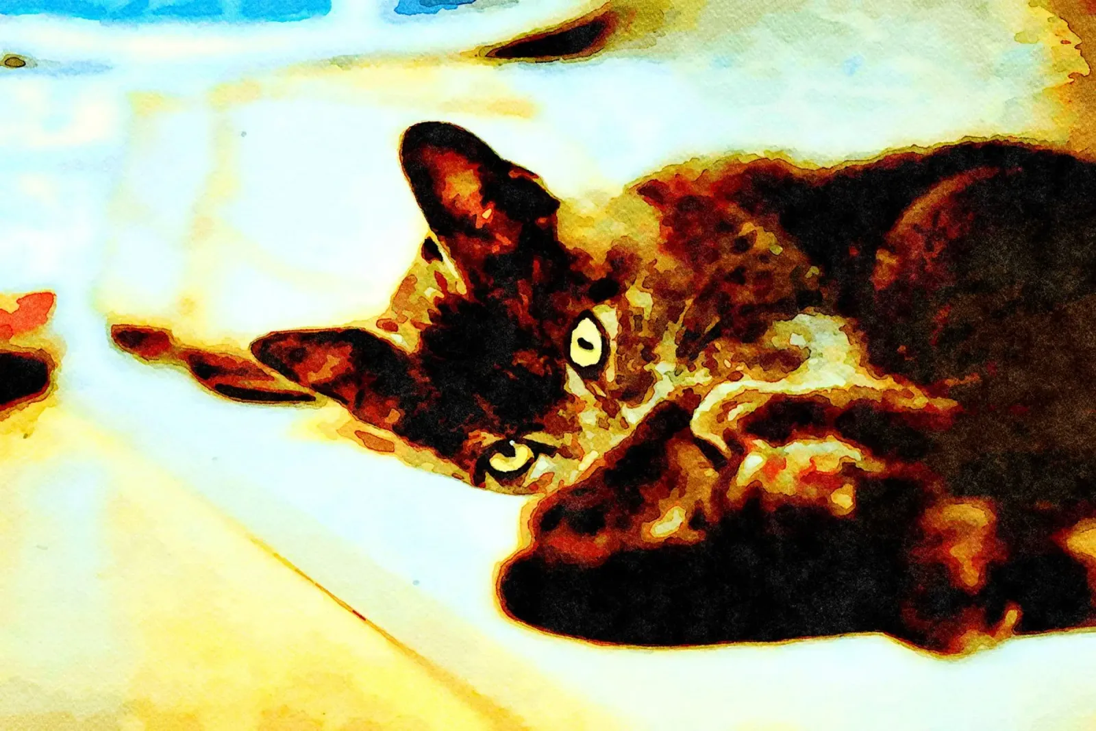 Allarme gatto pellicola backlit da Massimo Frascogna
