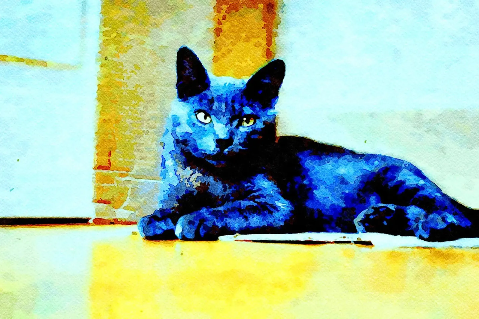 Grey cat canvas by Massimo Frascogna