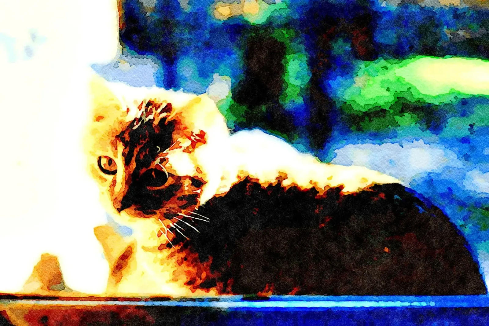 The cat on the window canvas by Massimo Frascogna