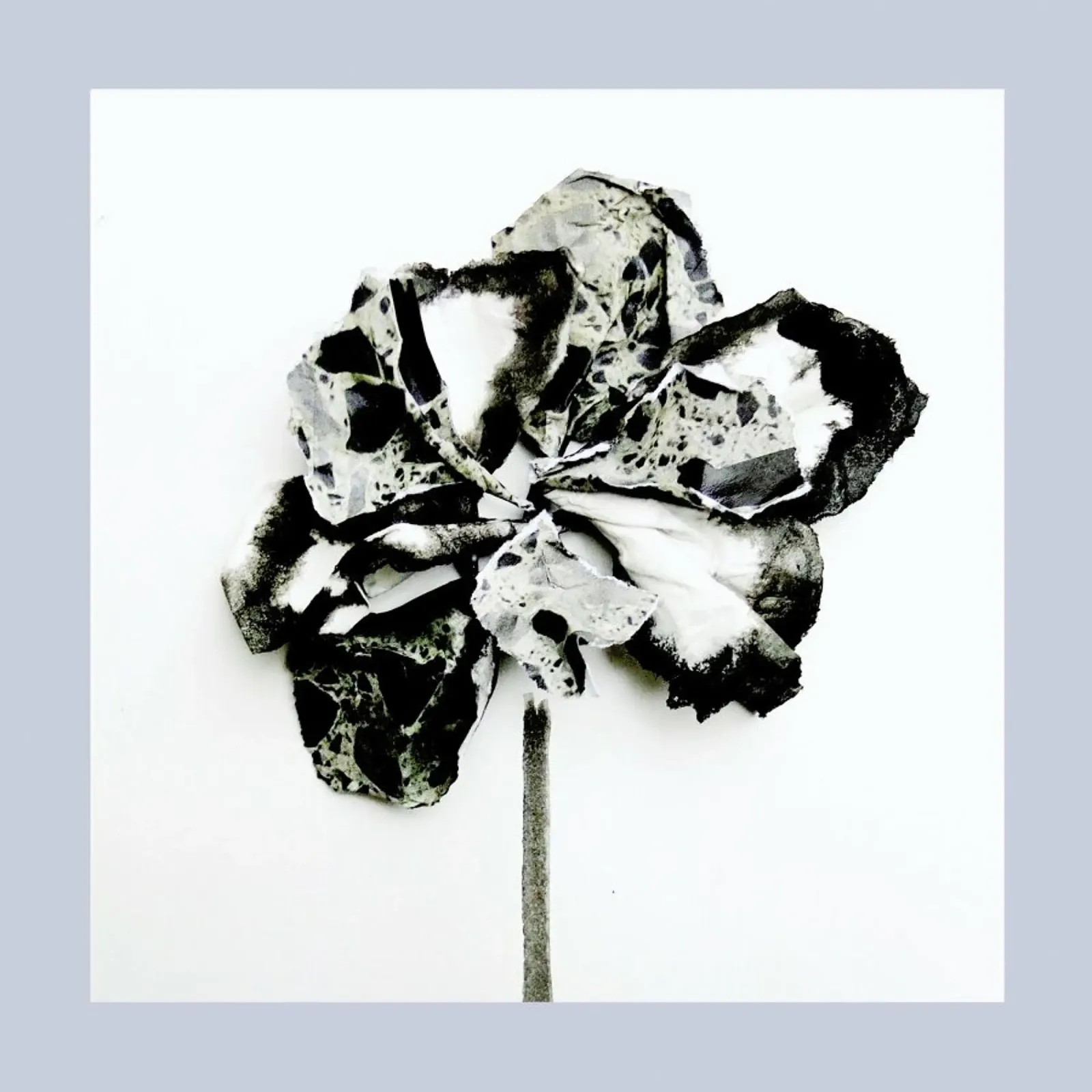 Paper Flower I pellicola backlit da Farina Kuklinski
