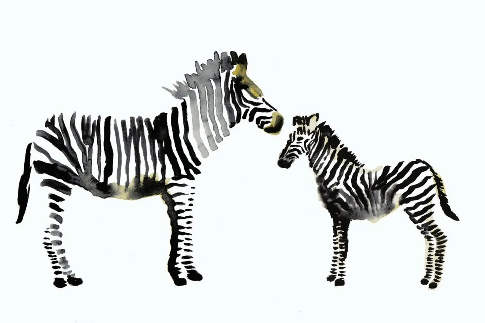 Zebra carta hahnemühle da Farina Kuklinski