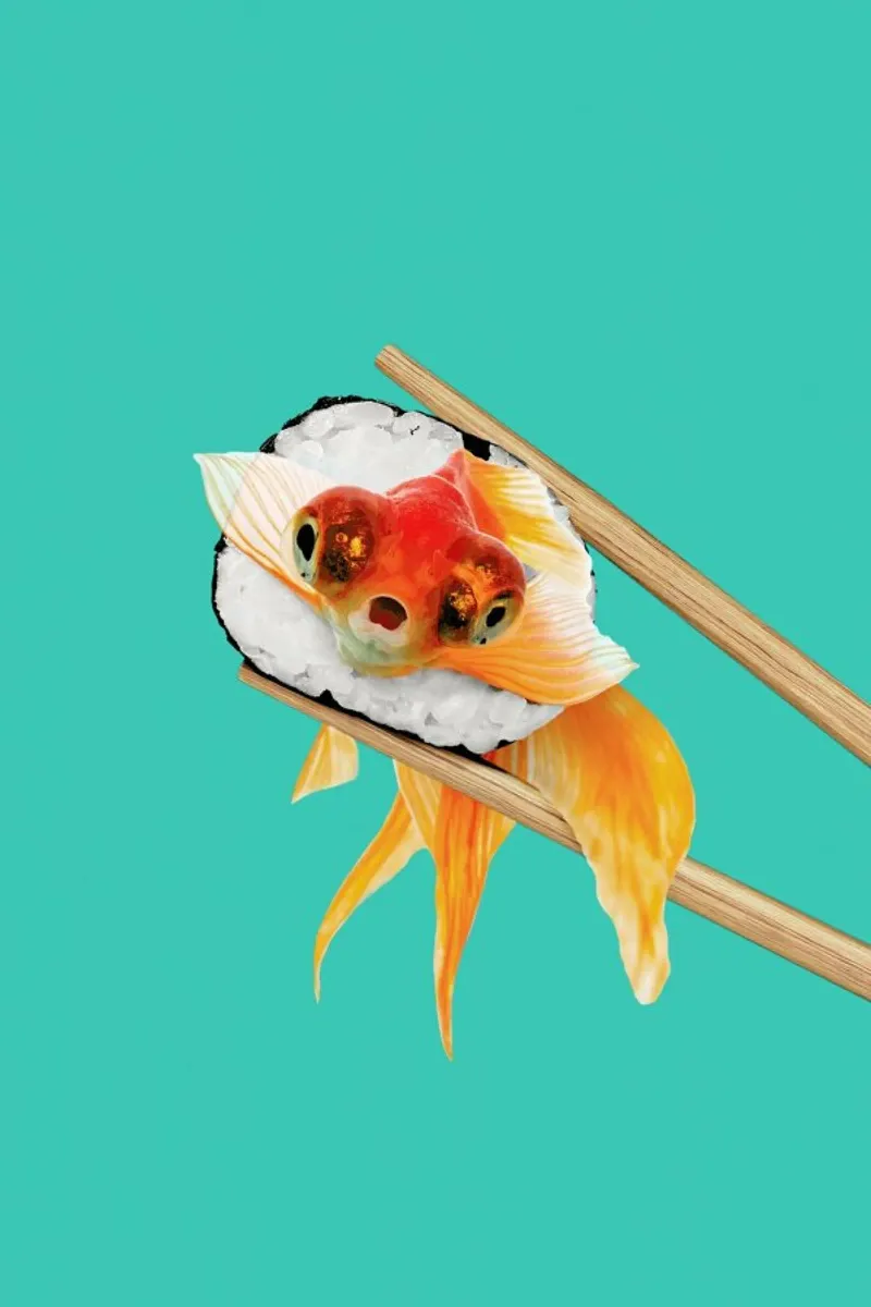 Sushi Goldfish pellicola backlit da Jonas Loose