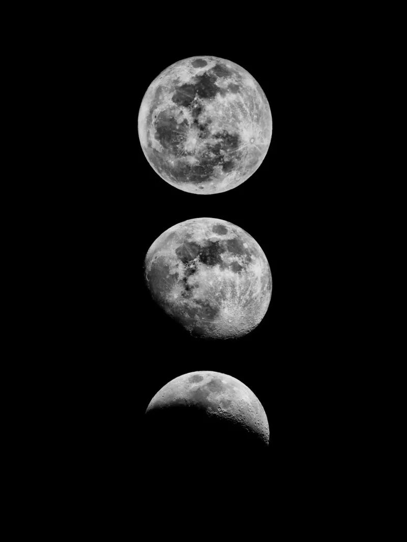 Lunar Phase Moon Cycle Celestial Space Astronomy Gift hahnemühle by THE MOTIVATED TYPE