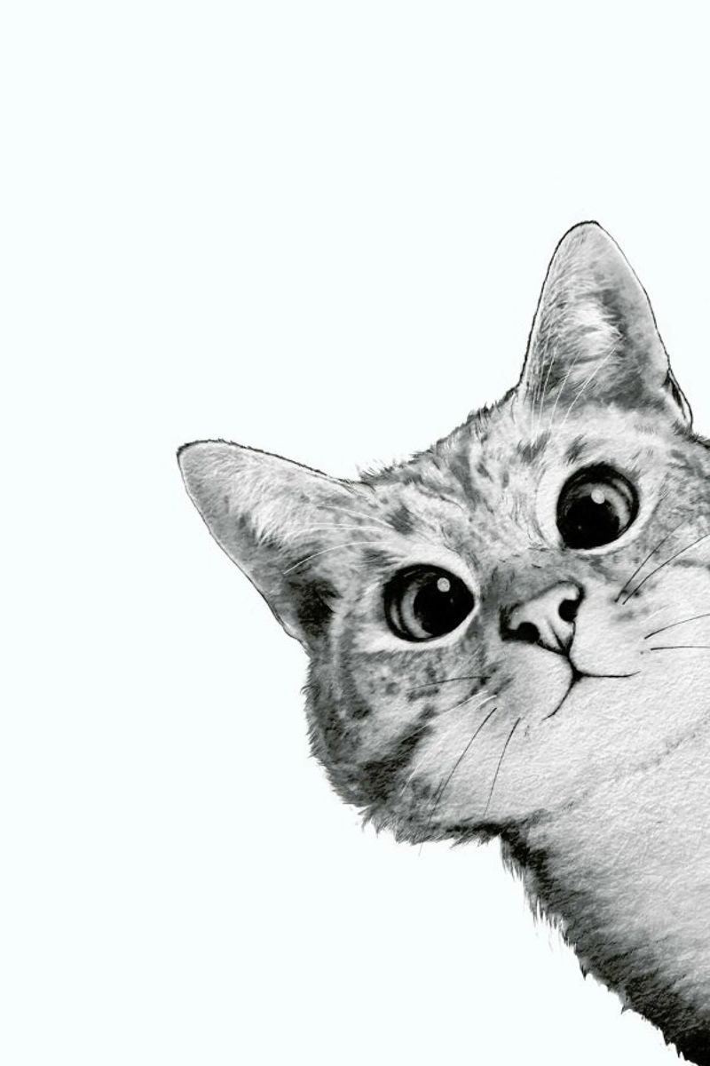 Sneaky Cat alluminio dibond da Laura Graves