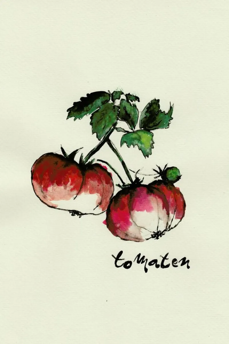 Tomaten hahnemühle by Nathys_illustration