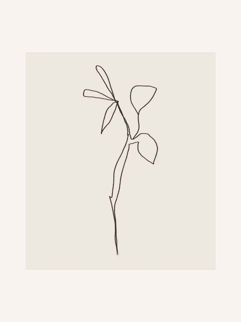 Pure Forms No 18 alluminio dibond da treechild