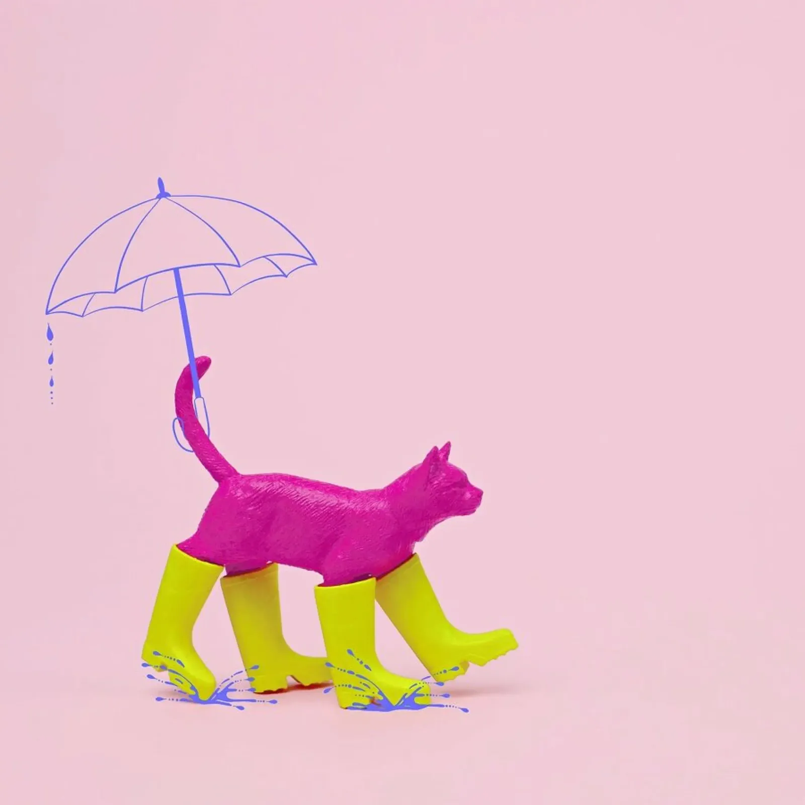 Puss in [Rain] Boots alluminio dibond da Juj Winn