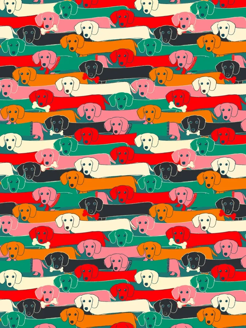 Colorful Dachshund Dog Pattern pellicola backlit da showmemars