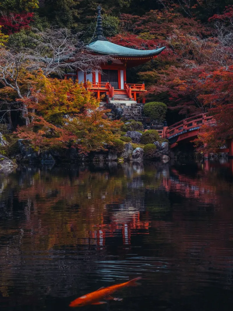 Lo stagno del tempio giapponese in autunno a Kyoto pellicola backlit da Marcel Bisig