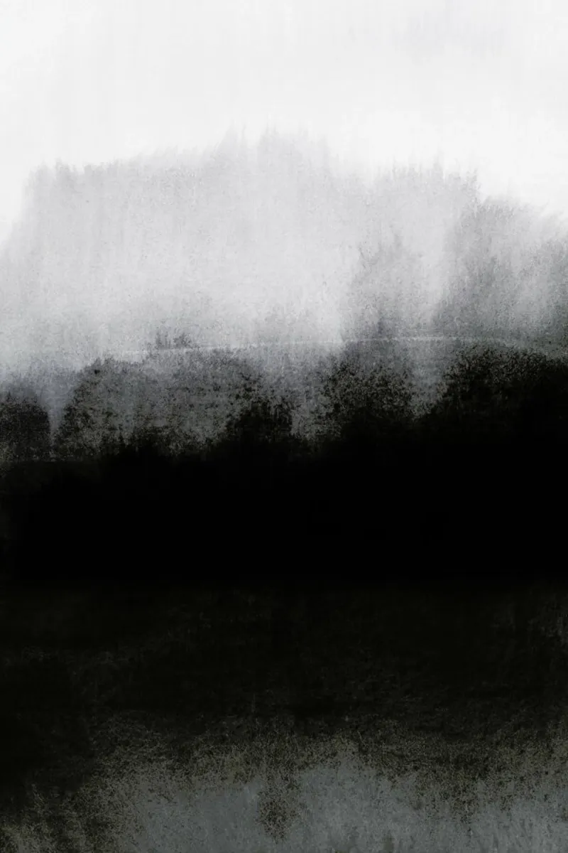 Greyscale Landscape carta hahnemühle da IRIS LEHNHARDT FINE ART