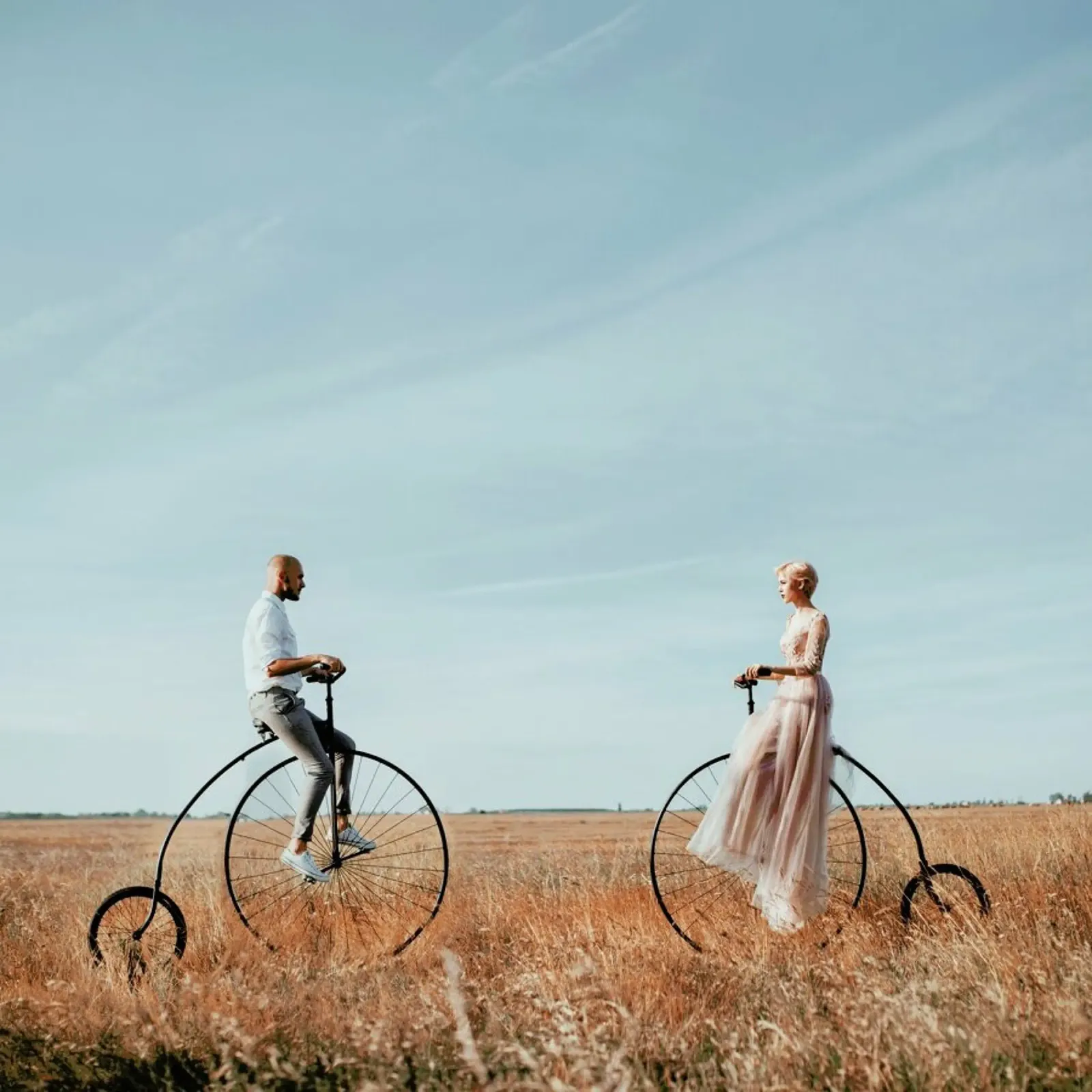 The One pellicola backlit da Jovana Rikalo