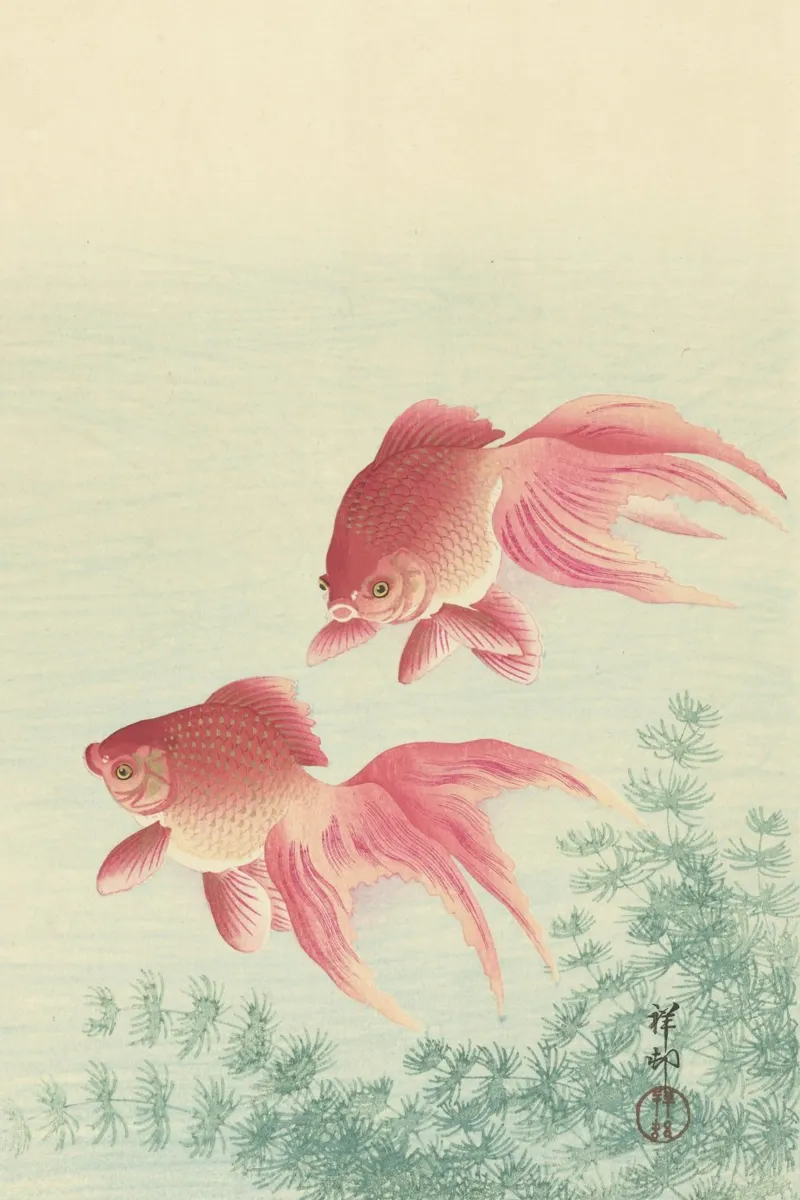 Pesce rosso - Xilografia giapponese Ohara Koson pellicola backlit da William Store