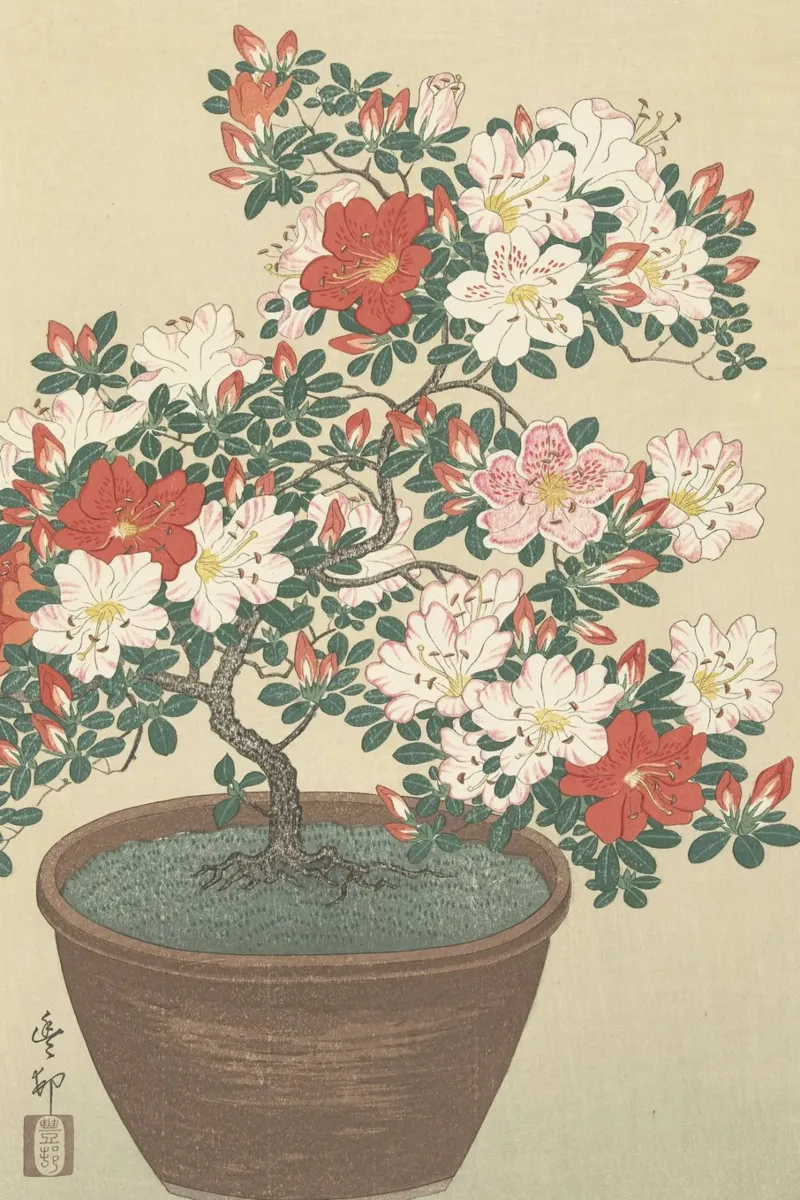 Azalea in fiore in vaso marrone - Ohara Koson pellicola backlit da William Store