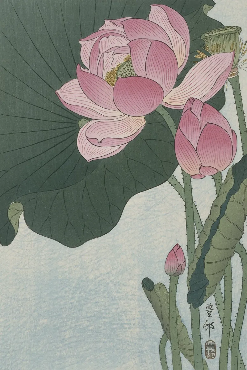Fiori di loto in fiore - Ohara Koson pellicola backlit da William Store