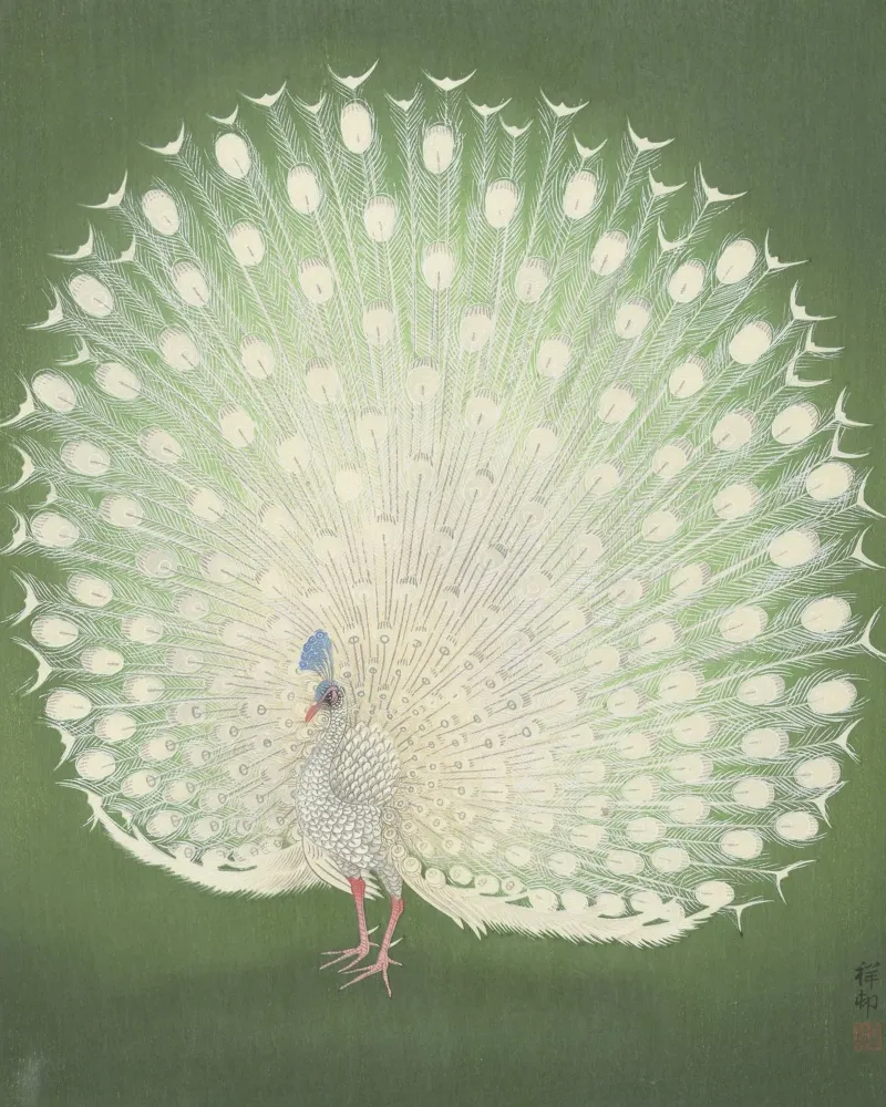 Pavone - Ohara Koson pellicola backlit da William Store
