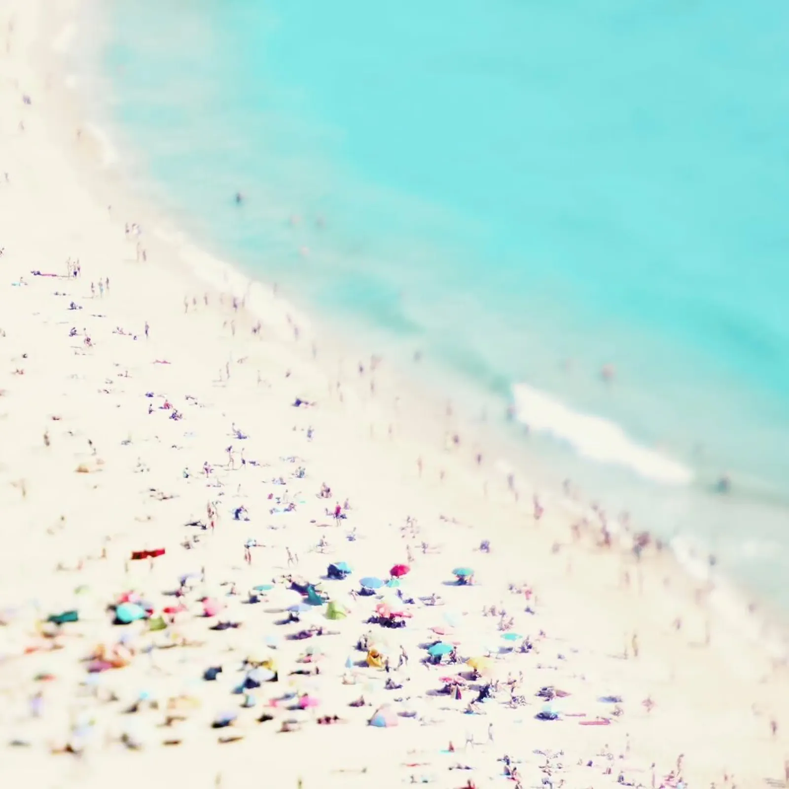 Beach Dreams pellicola backlit da Ingrid Beddoes
