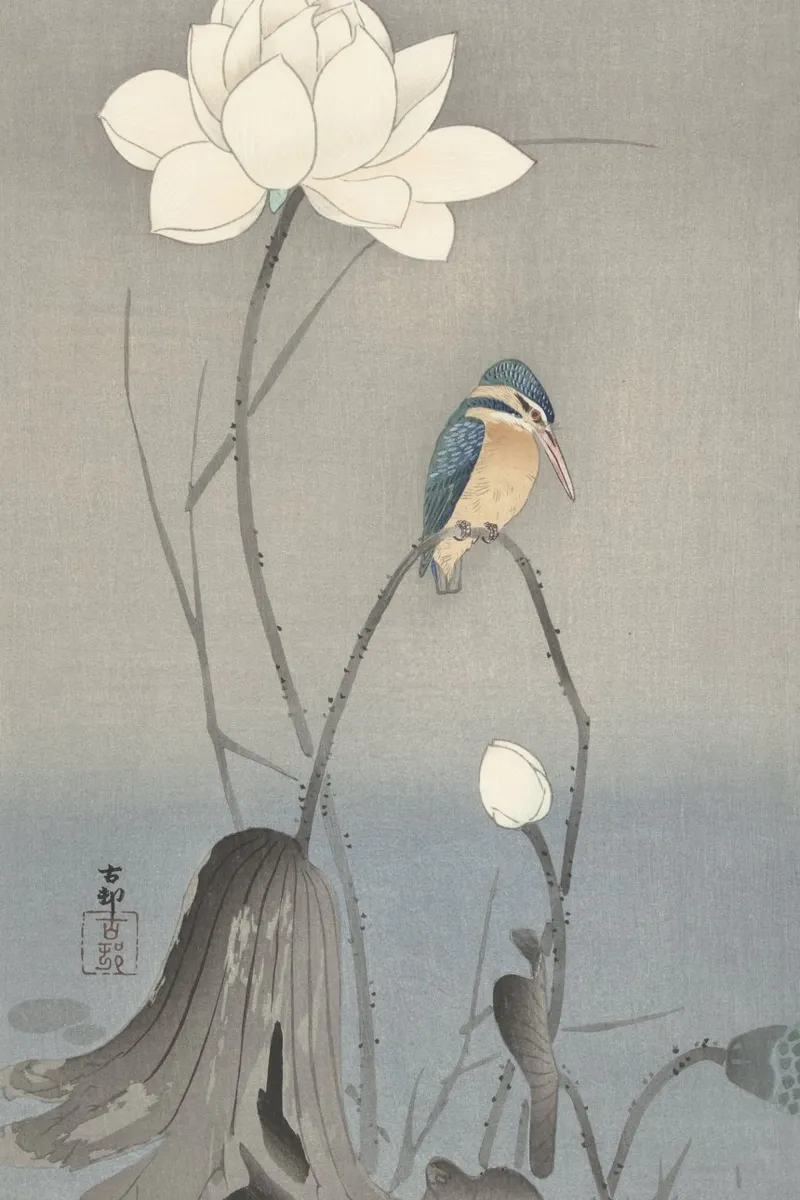 Martin pescatore con fiore di loto - Ohara Koson poster con telaio in alluminio da William Store