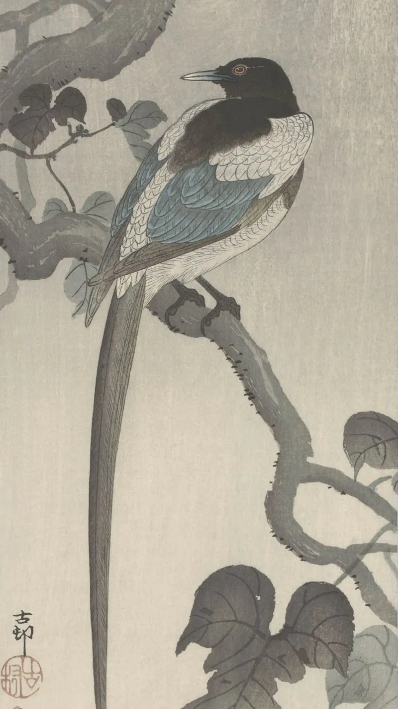 Magpie on tree branch - Ohara Koson canvas by William Store