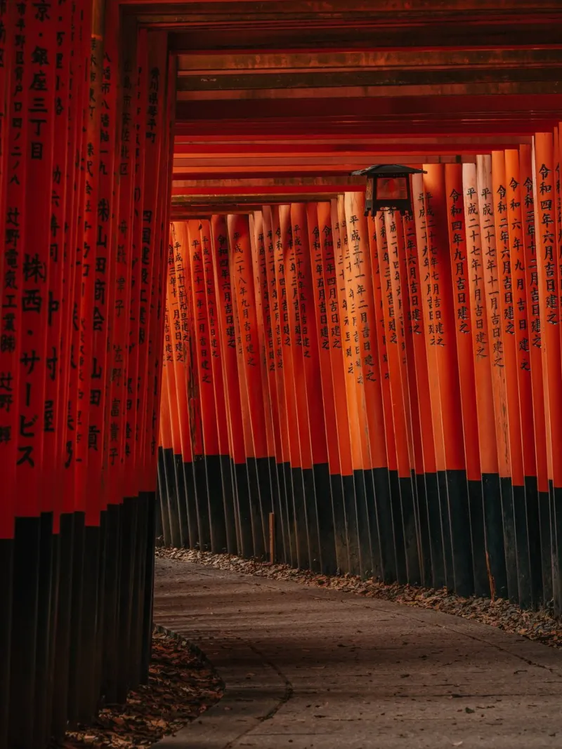 Fushimi-Inari-Schrein in Kyoto, Japan Alu-Dibond von Marcel Bisig