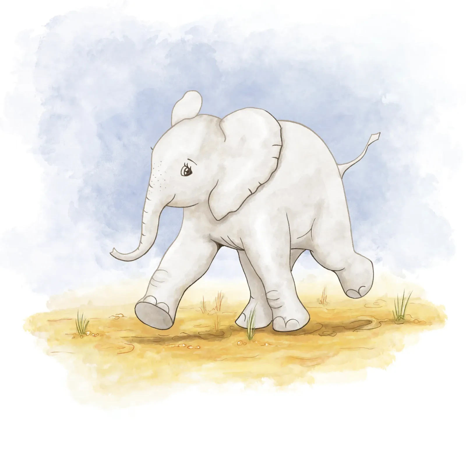 Piccolo elefante in acquerello poster da Sofi Ka