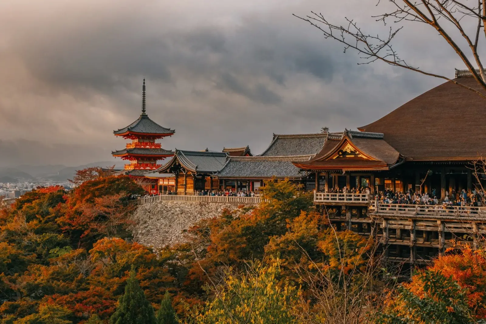 Kiyomizu-dera Temple in Kyoto in autumn pellicola backlit da Marcel Bisig