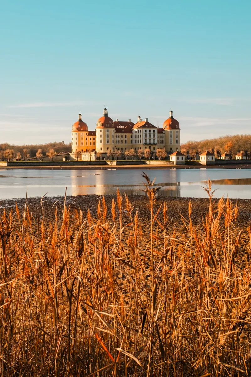 Castello di Moritzburg in Sassonia: foto d'autunno con stagno e canneti poster con telaio in legno da Bold and Retro