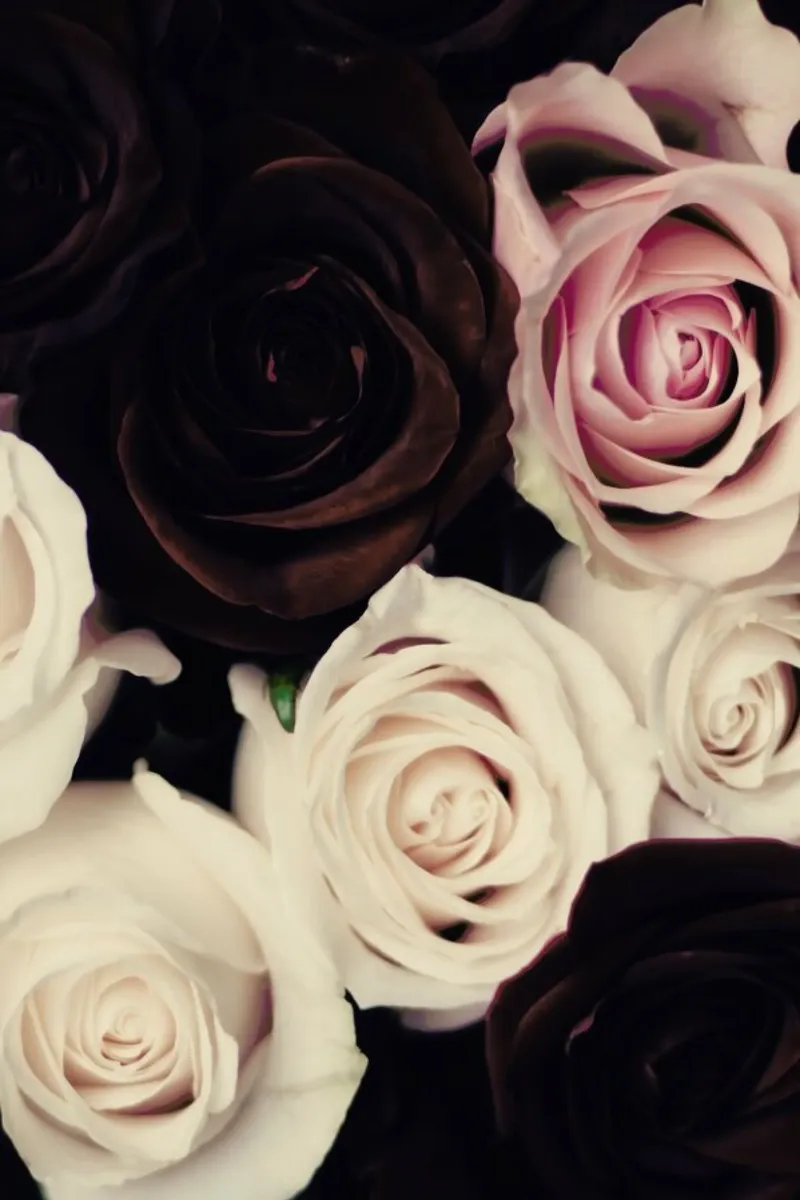 Rose Bouquet poster con telaio in alluminio da Ingrid Beddoes