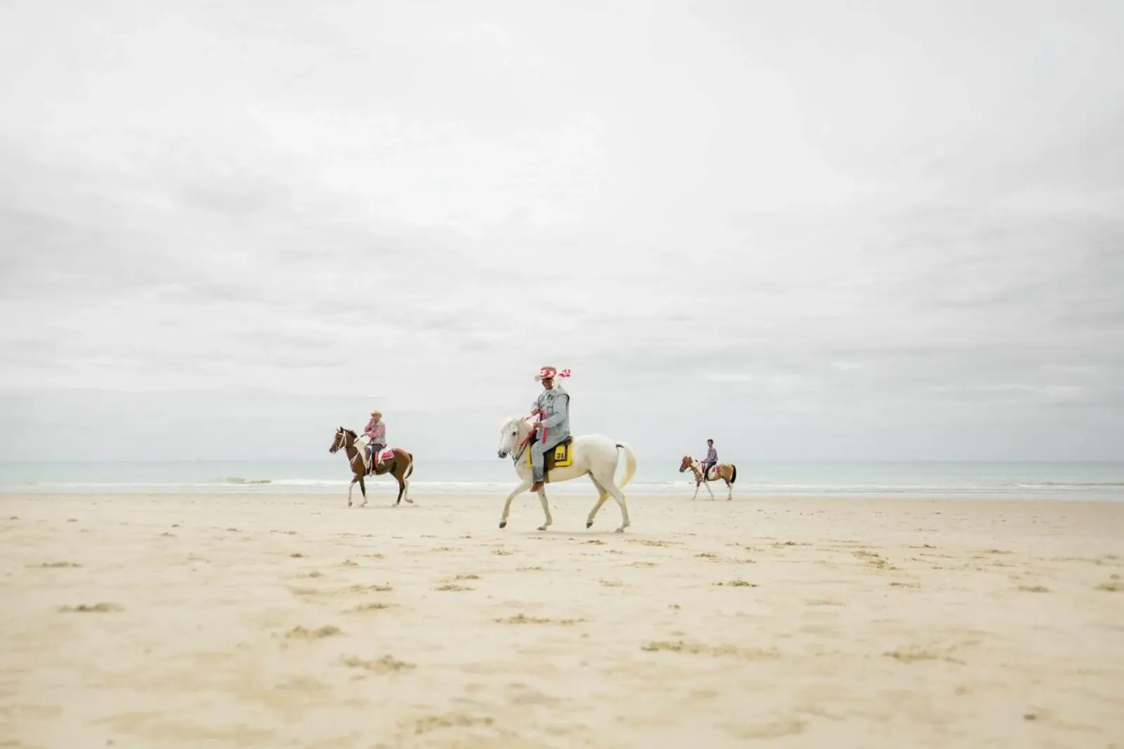 Hua Hin Horses poster by Charlotte Curd