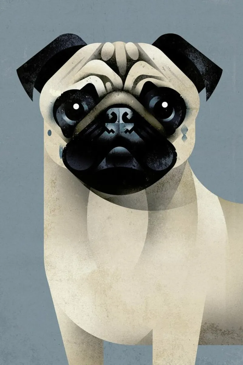 Pug pellicola backlit da Dieter Braun