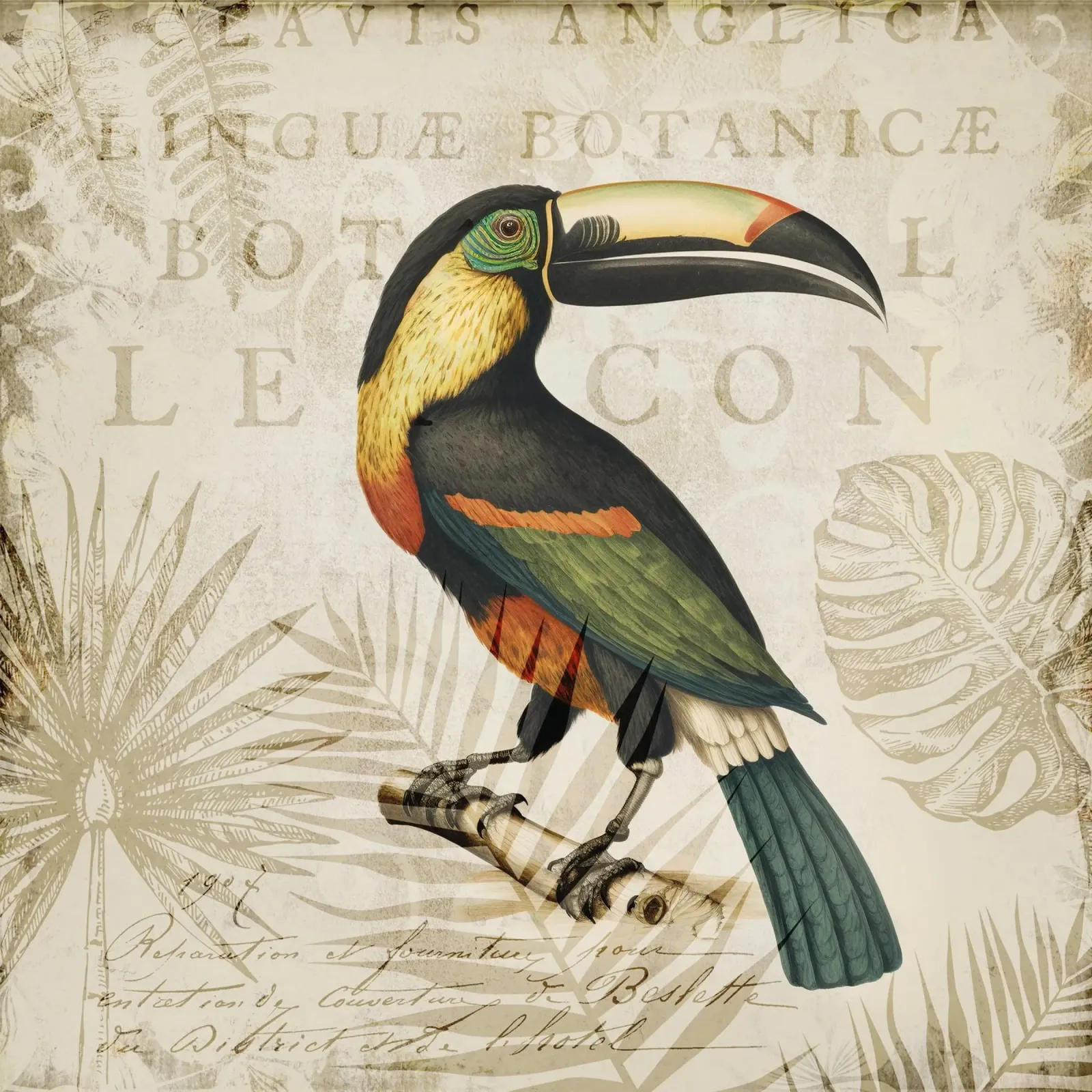 Nascondiglio tropicale dei tucani pellicola backlit da Andrea Haase Vintage World